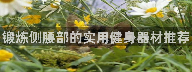 意昂体育5(KGAME):锻炼侧腰部的实用健身器材推荐