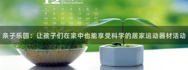 意昂5(KGAME)新能源:亲子乐园:让孩子们在家中也能享受